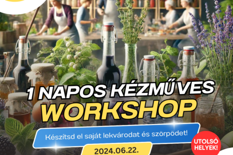 Workshop rapid 1 nap